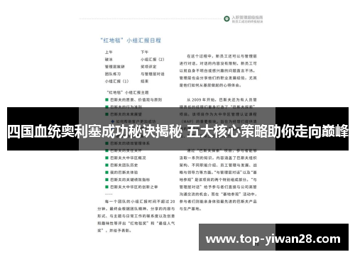四国血统奥利塞成功秘诀揭秘 五大核心策略助你走向巅峰