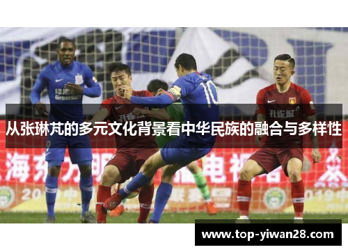 从张琳芃的多元文化背景看中华民族的融合与多样性